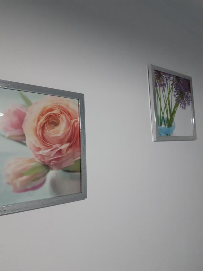 Apartamento Piquinho Machico  Eksteriør bilde