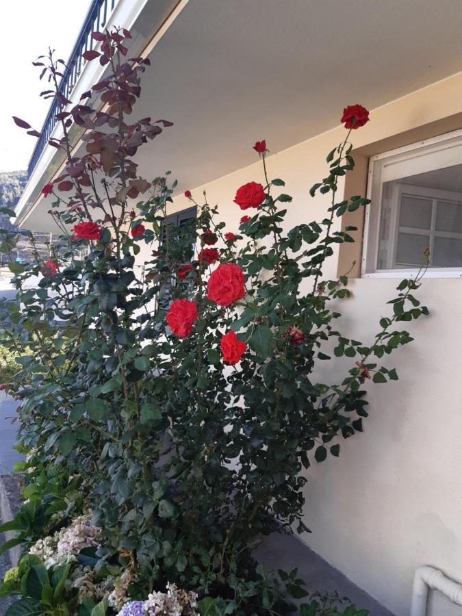 Apartamento Piquinho Machico  Eksteriør bilde